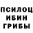 Галлюциногенные грибы GOLDEN TEACHER Blackomega 89