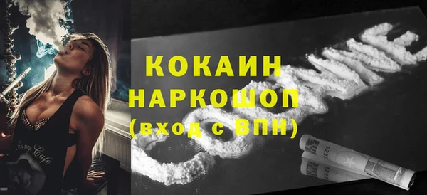 шишки Белоозёрский