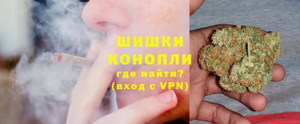 шишки Белоозёрский