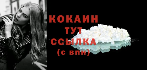 шишки Белоозёрский