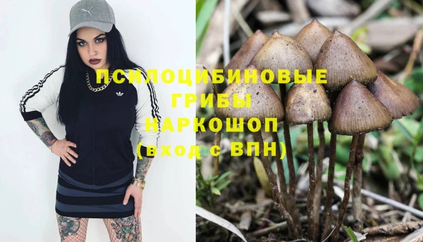 мефедрон Белокуриха