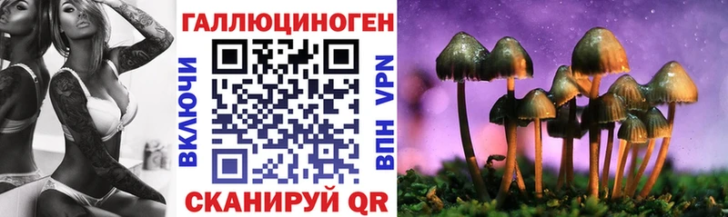 что такое   OMG как зайти  Псилоцибиновые грибы ЛСД  Солигалич 