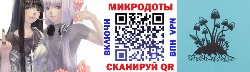 Псилоцибиновые грибы Psilocybe Солигалич